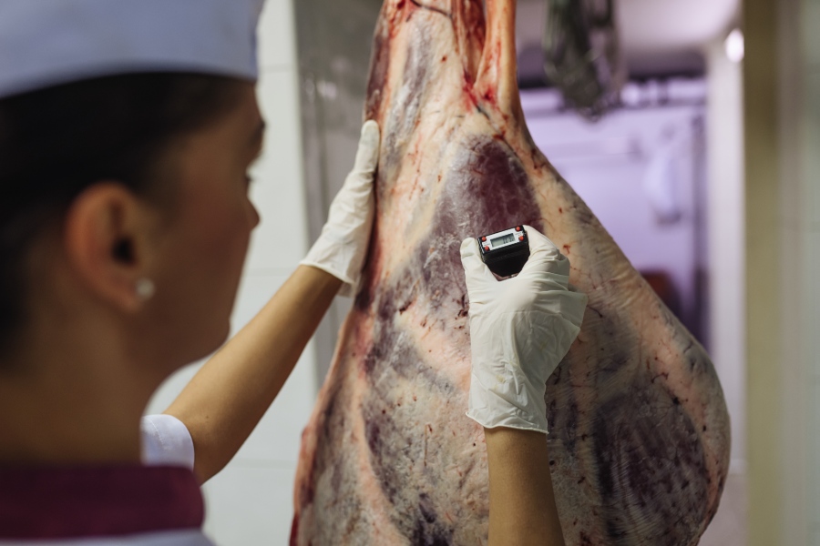 LA-SURGELAZIONE-DELLA-CARNE-VANTAGGI-E-FALSI-MITI-5