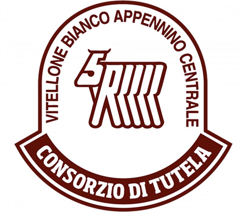 Storia-della-razza-chianina-caratteristiche-del-vitellone-chianino-e-razza-e-carni-6