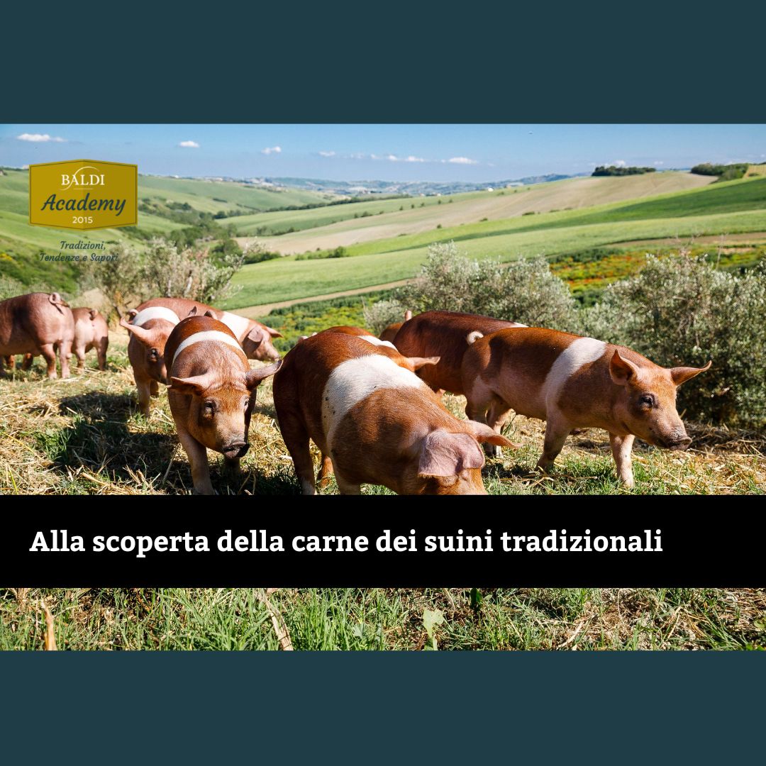 Carne di Suino tradizionale: le razze da riscoprire